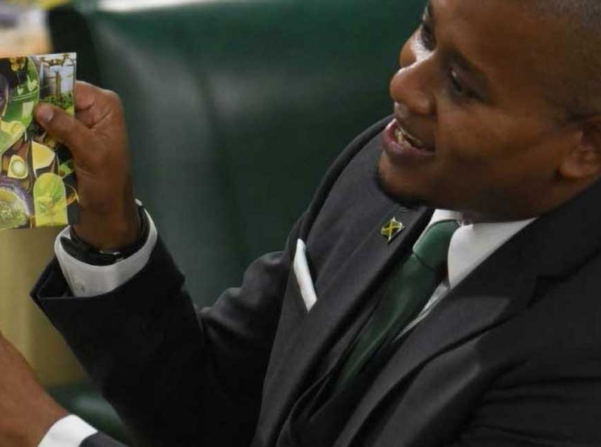 Minister of Agriculture and Fisheries, Hon. Floyd Green, makes his 2021/22. Sectoral Debate presentation in the House of Representatives on Wednesday (May 12).
