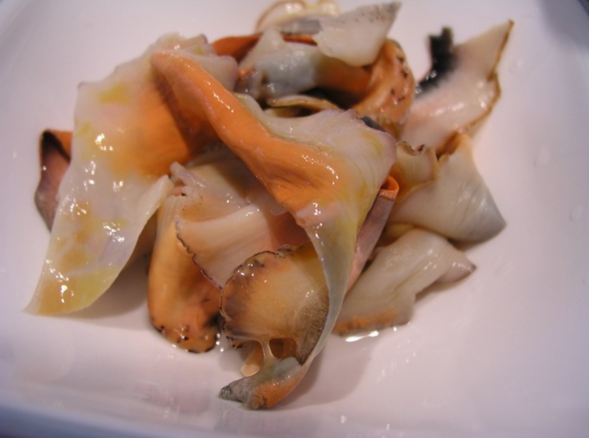 JAMAICA imposes US$0.50 per lb Levy on Conch exports