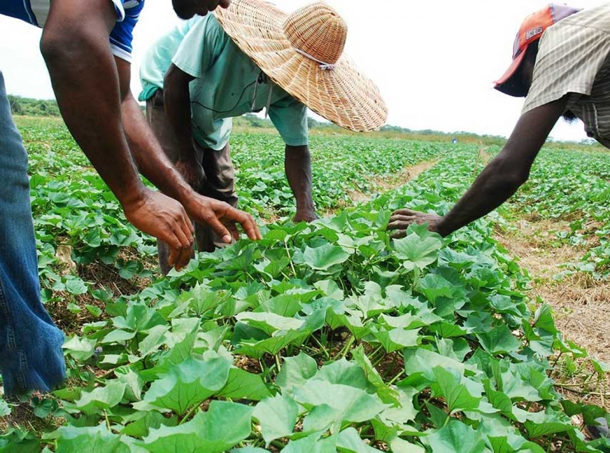 Regional Talks on Food Security Ahead of Global UN Summit