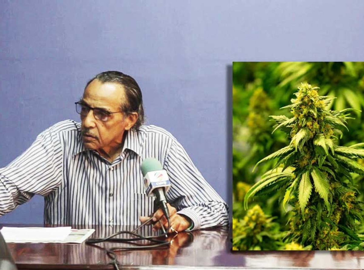 President of the Ganja Growers and Producers Association Richard Crawford
