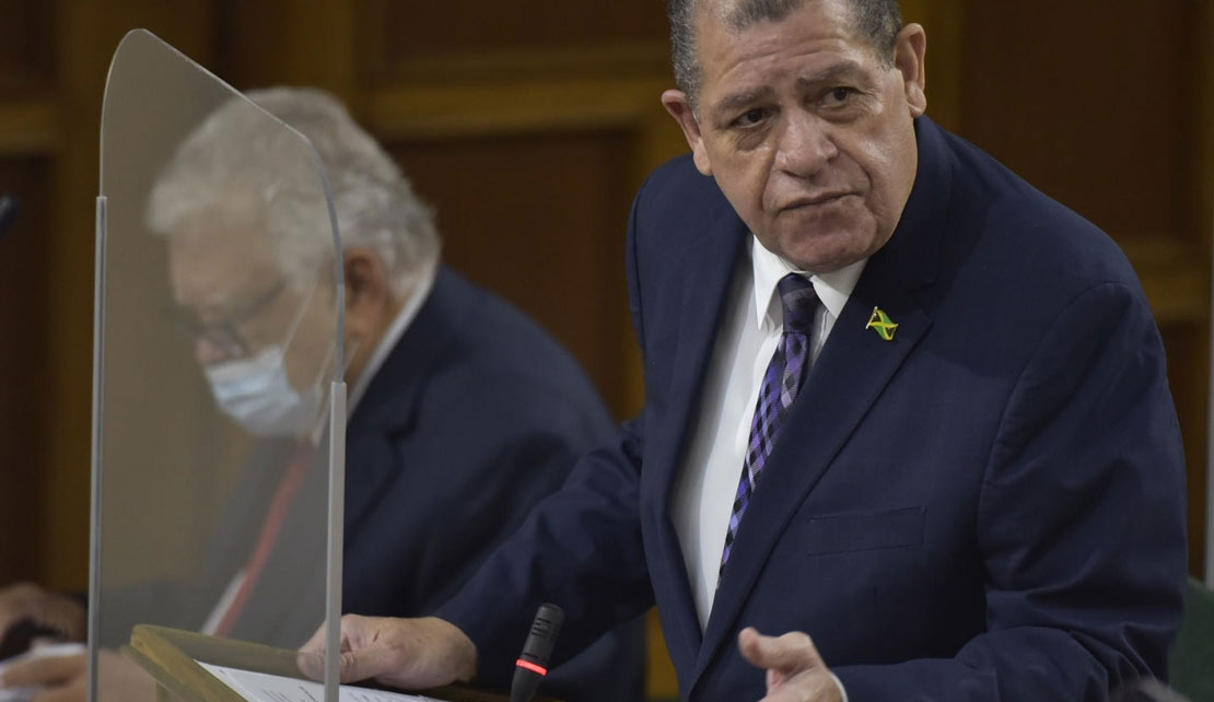 JAMAICA | House Approves Amendments to Companies Act