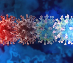 The hunt for coronavirus variants: how the new one was found and what we know so far