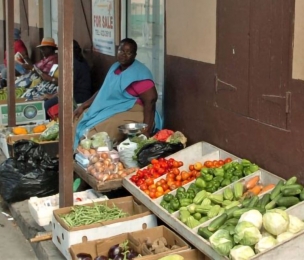 BARBADOS to pass Vendor-Friendly Legislation