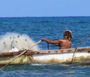 OECS Fisheries Industry to Benefit from Value Chain Studies