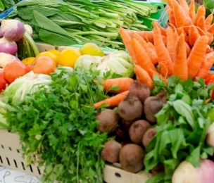 ST VINCENT | St. Vincent and the Grenadines poised to launch first agricultural census in more than 20 years