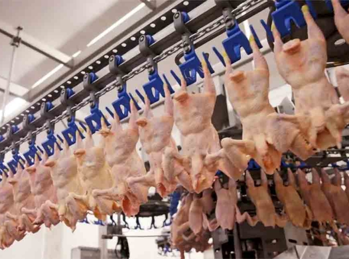 CARICOM | The Chicken Meat Trade and regional production