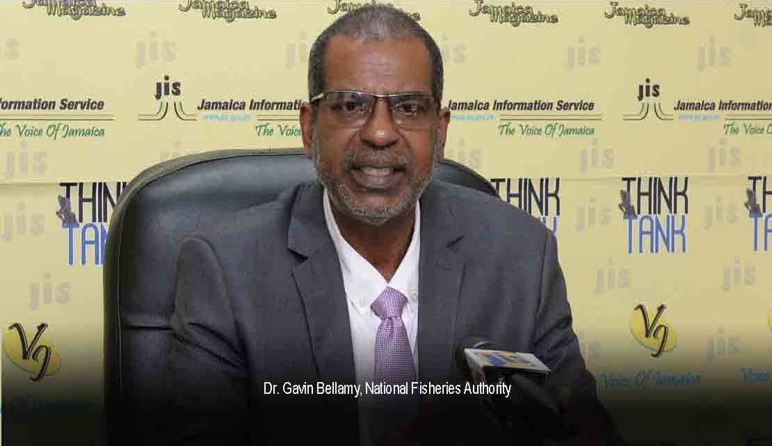 JAMAICA | Gov't encourages Talapia Farming, deep-sea fishing