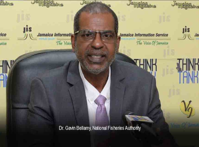 JAMAICA | Gov't encourages Talapia Farming, deep-sea fishing