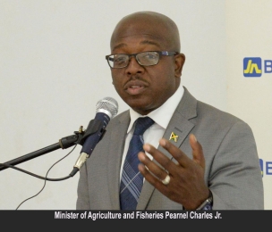JAMAICA | 10.5 Per Cent Growth In Domestic Crop Production For January To March