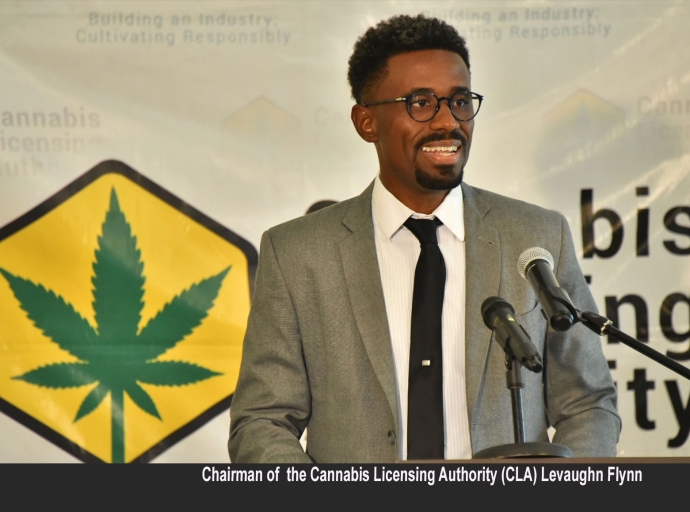 JAMAICA | CLA Projects Increase In Medicinal Cannabis Exports