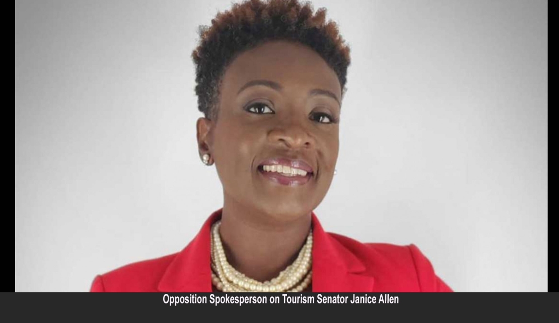 JAMAICA | Senator Janice Allen Calls for Proper City planning to reduce congestion in Montego Bay