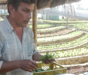 CUBA Embraces Eco-Farming Amid Tightened US Blockade