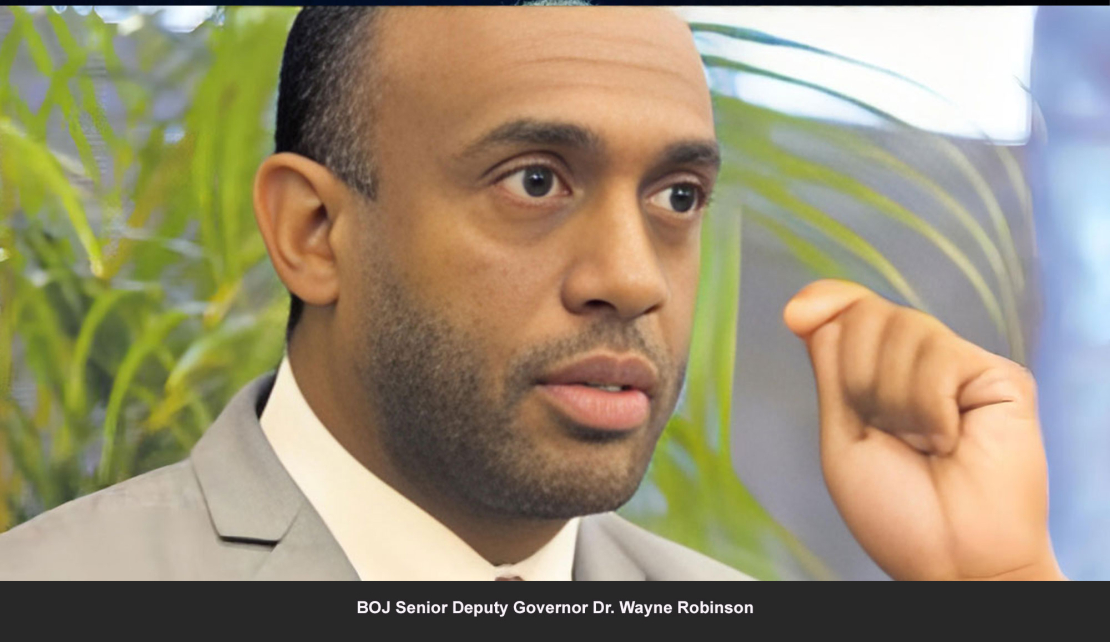 JAMAICA |  BOJ Deputy Governor flags Economic Stability in Jamaica