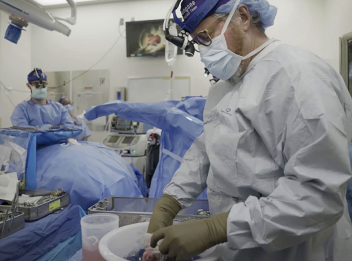 Pig's kidney works in a donated body for over a month, a step toward animal-human transplants