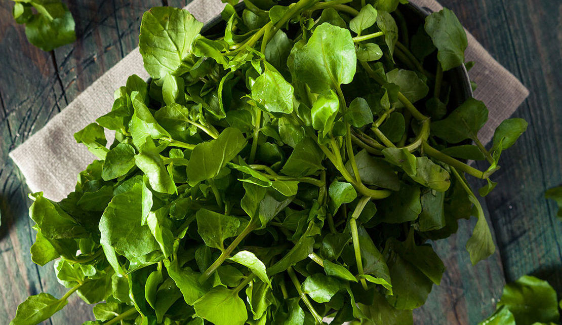 FOODS | CDC declares watercress the healthiest veggie on Earth !