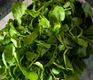 FOODS | CDC declares watercress the healthiest veggie on Earth !