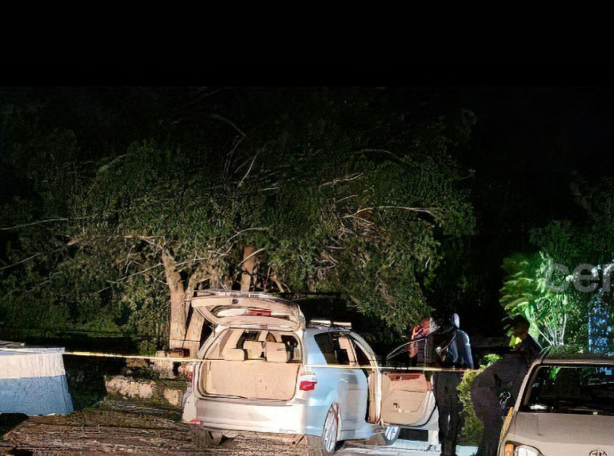 JAMAICA | PNP Condemns Murder of Three in Salt Spring, St. James