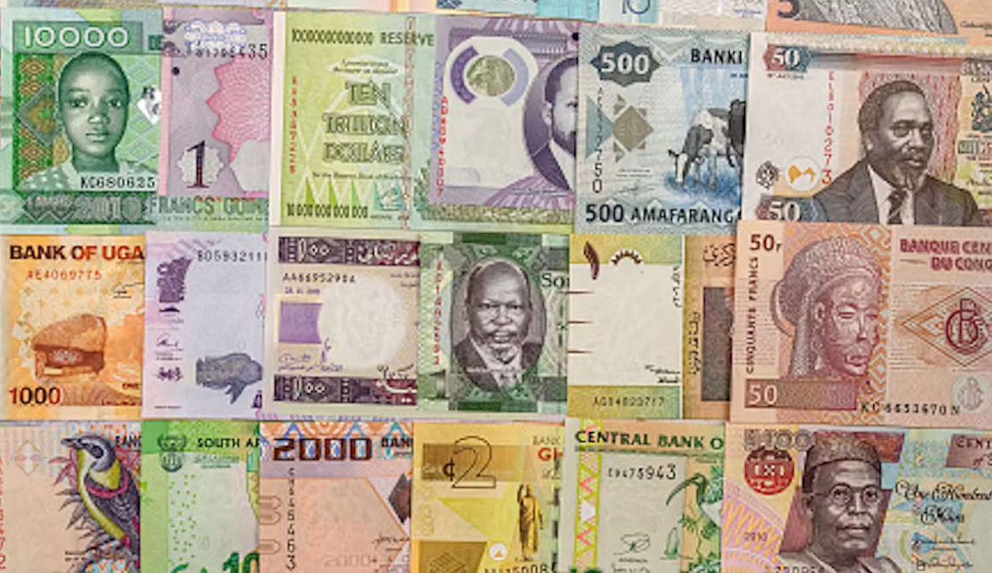 AFRICA'S new online foreign exchange system, enabling cross-border payments in local currencies