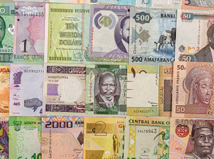 AFRICA'S new online foreign exchange system, enabling cross-border payments in local currencies