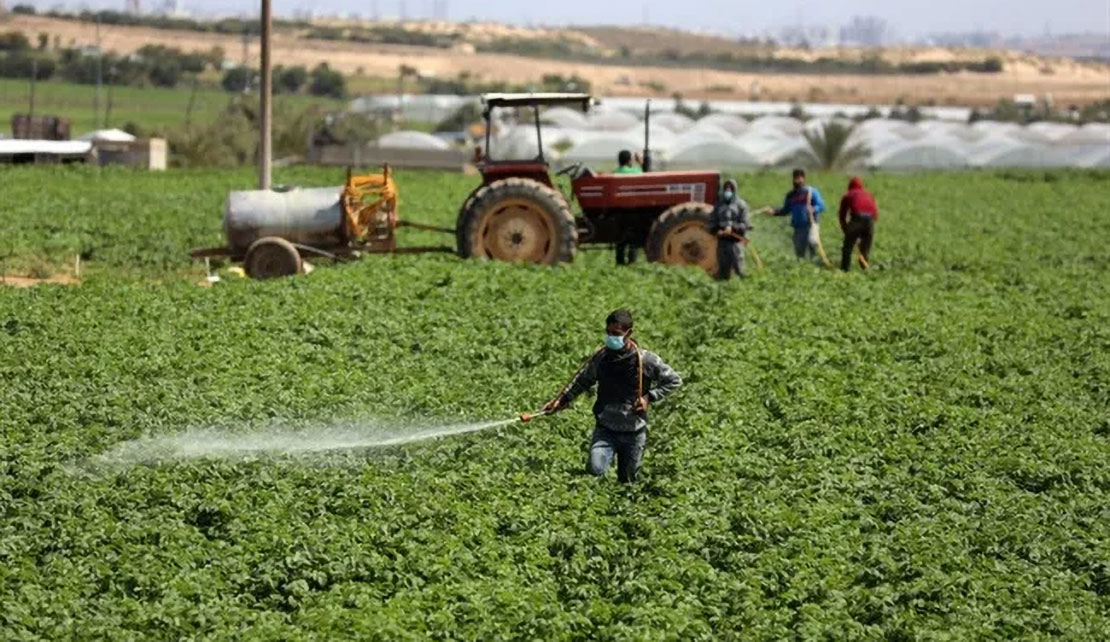 Israel turns to Africa for migrant farm workers amid mass exit of foreign workers