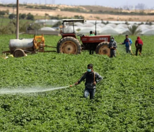 Israel turns to Africa for migrant farm workers amid mass exit of foreign workers