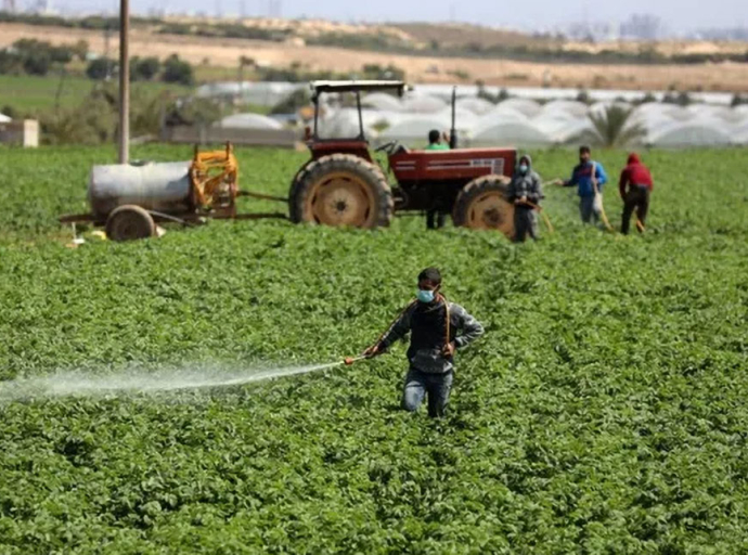 Israel turns to Africa for migrant farm workers amid mass exit of foreign workers