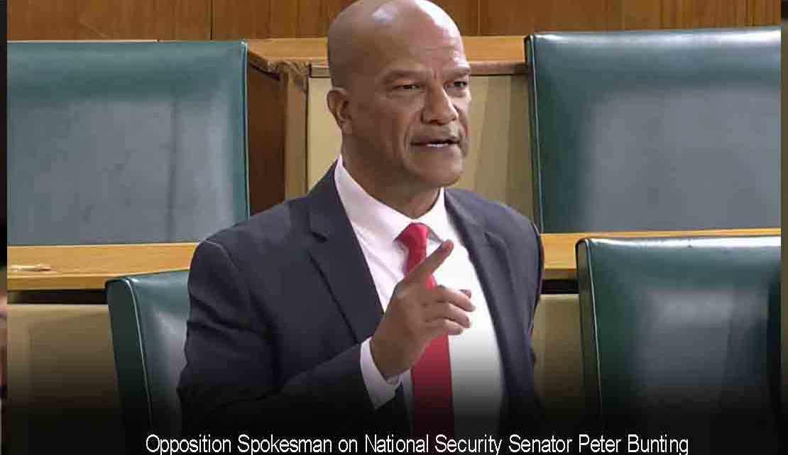 JAMAICA | PNP Senator Peter Bunting blasts  &quot;government’s bankrupt Ideas&quot; in crime fighting