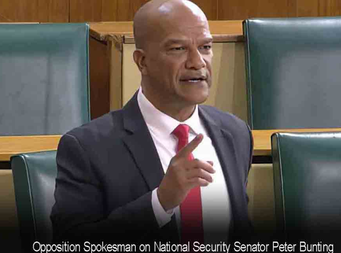 JAMAICA | PNP Senator Peter Bunting blasts  &quot;government’s bankrupt Ideas&quot; in crime fighting