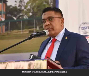 JAMAICA | Caribbean Farmers to benefit from USAID CAPA Food Security Programme