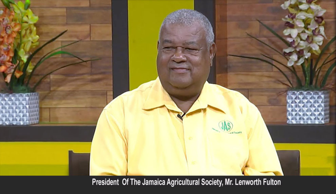 JAMAICA | Removing GCT from imported food may affect local Production Says Lenworth Fulton