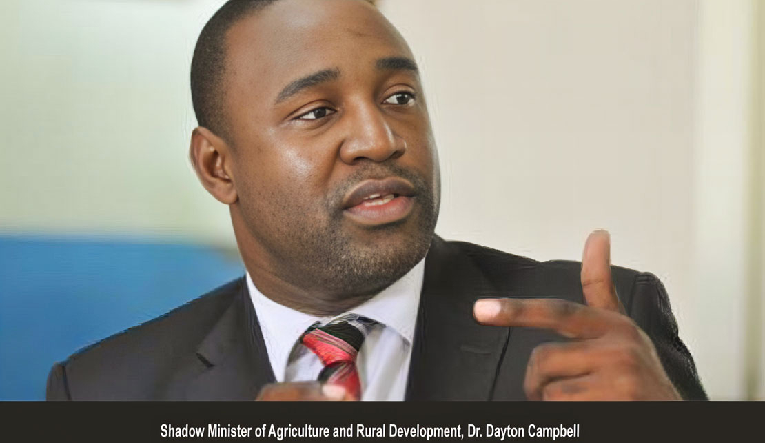 JAMAICA | PNP Concerned Over Government's Plan to Divest AMC Facility