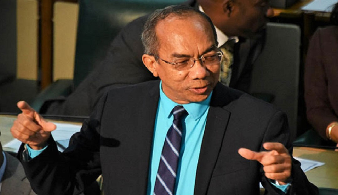 JAMAICA | The JLP's Horace Chang wants Ian Hayles to Apologise over  Black Tank Statement