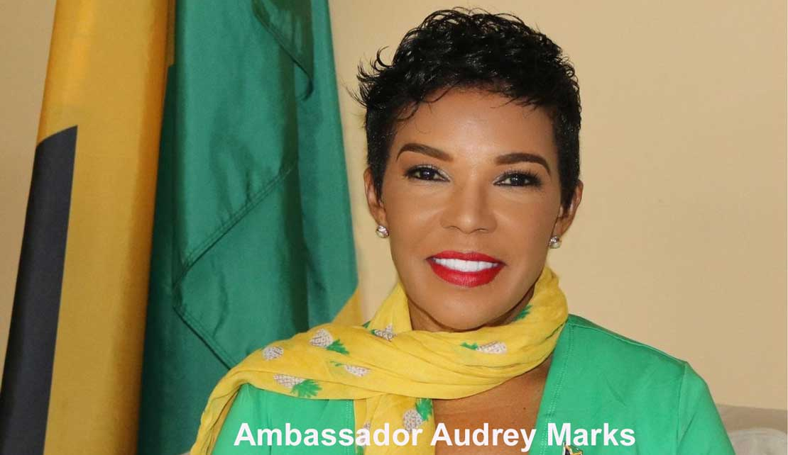 DIASPORA | Lets Connect with Amb Audrey Marks to feature Patricia V. Smith's book launch