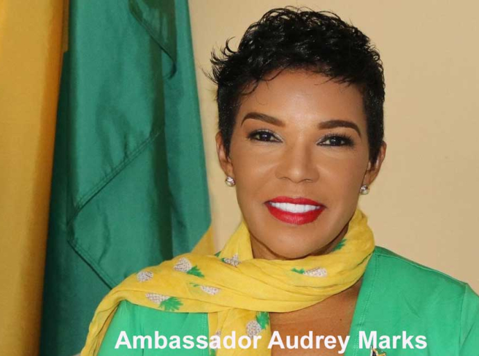 DIASPORA | Lets Connect with Amb Audrey Marks to feature Patricia V. Smith's book launch