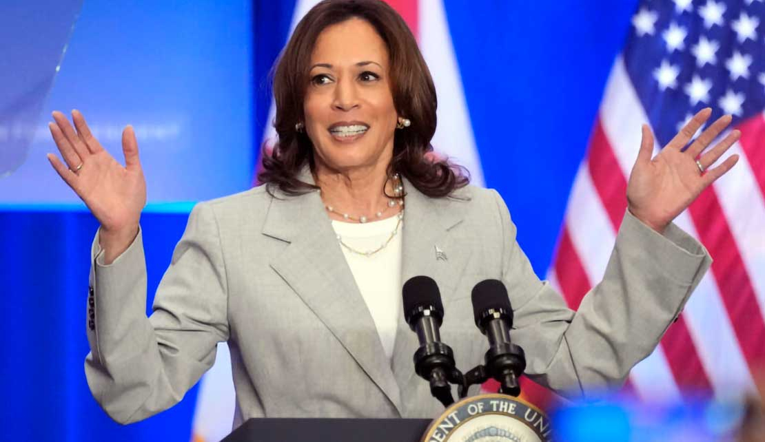 United States | Twice as good for half the respect: Kamala Harris’  battle for the White House