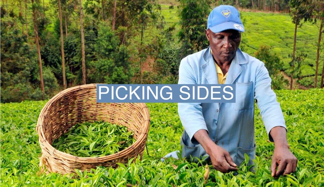 AFRICA | A Kenyan Community's Fight to Take Back Its Lipton Tea Estates