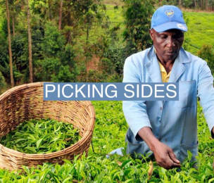 AFRICA | A Kenyan Community's Fight to Take Back Its Lipton Tea Estates