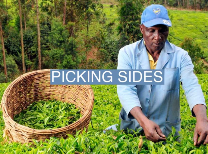 AFRICA | A Kenyan Community's Fight to Take Back Its Lipton Tea Estates