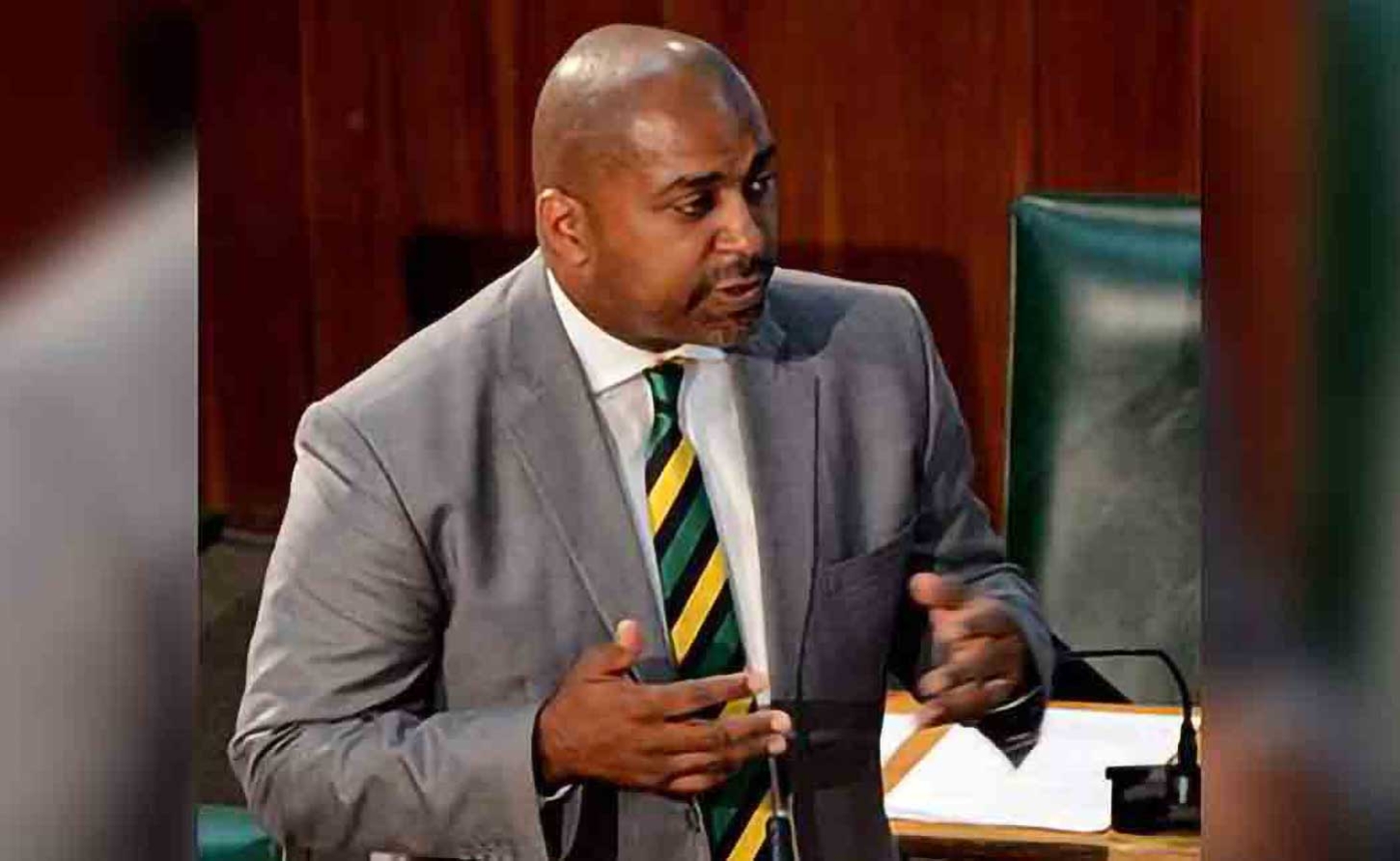 Opposition Spokesman on Finance and the Public Service, Julian Robinson