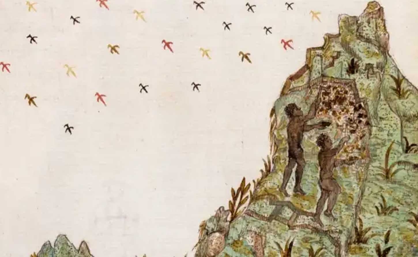 Mining in Colombia in the 1560s, an illustration from the Drake manuscript. Credit: Histoire naturelle des Indes/slaveryimages.org 