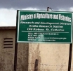 JAMAICA | From Agricultural Excellence to Sewage Plans: Bodles Research Station Faces Existential Threat