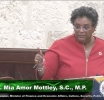 BARBADOS | Mottley's Principled Stand: Defending Cuban Medical Aid Against False Narratives