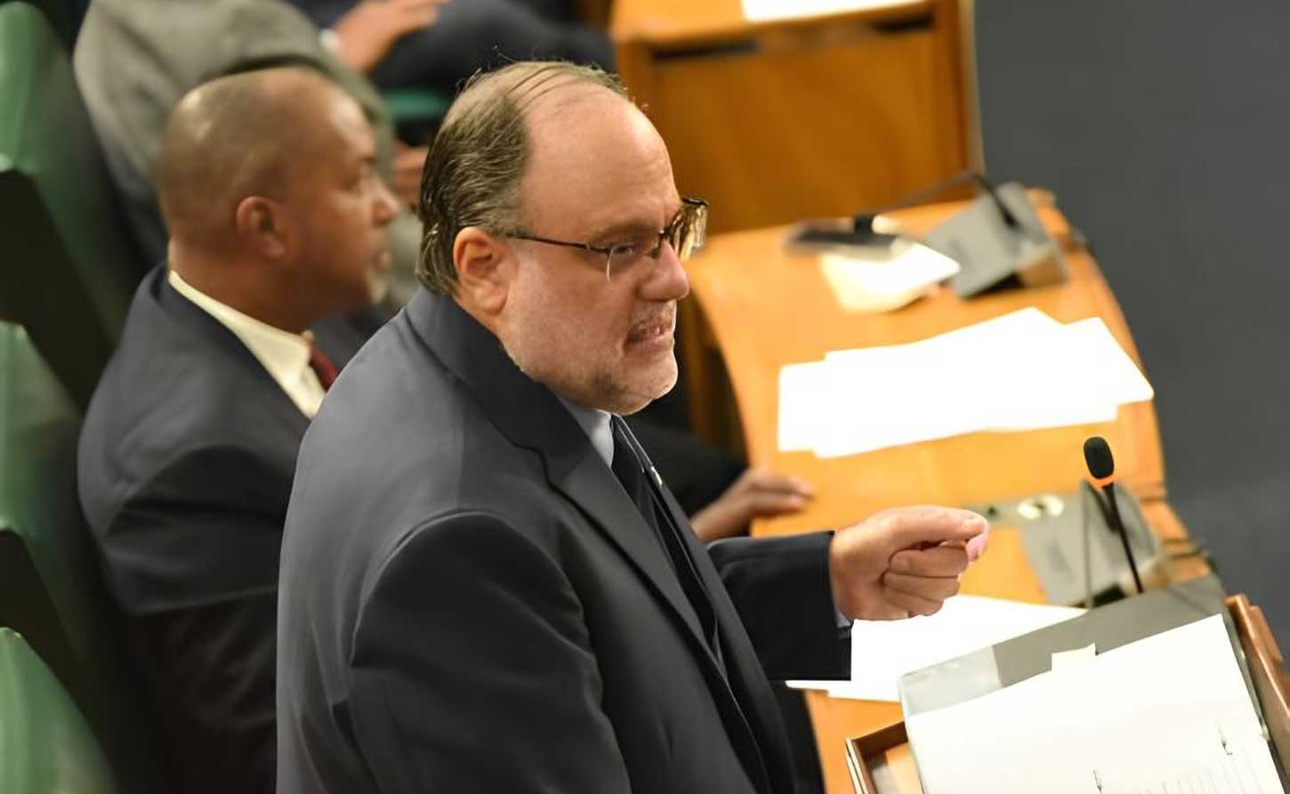 Opposition Leader Mark Golding speaking on March 18, in the Budget Debate in the House of Representatives .