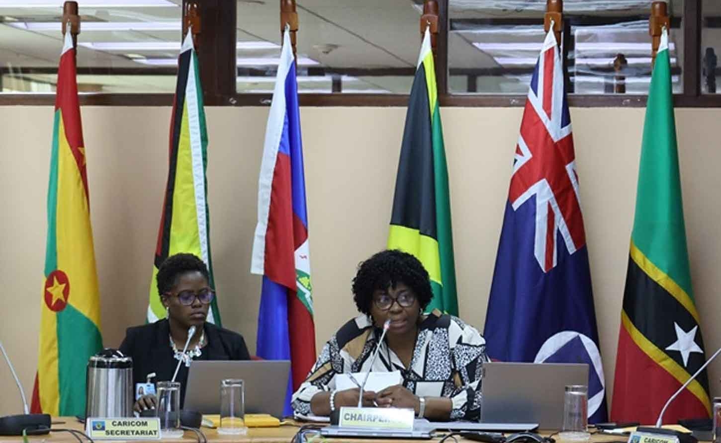 Regional Nursing Body Chair Nester Edwards (right) Outlines CARICOM nursing strategy