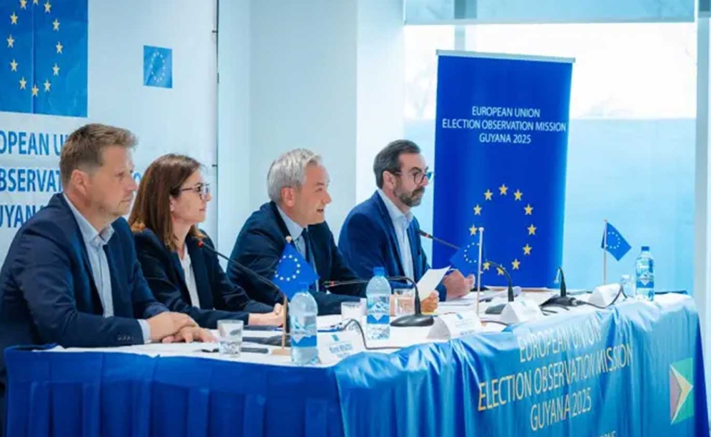 Members of the European Union Election Observation Mission (EU EOM)