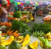 CARICOM Achieves Historic Breakthrough in Regional Agricultural Trade at COTED Meeting in St. Kitts-Nevis 