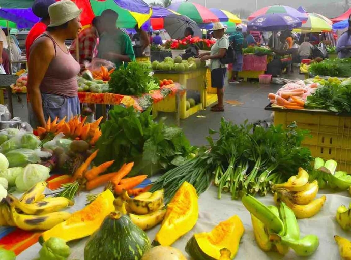 CARICOM Achieves Historic Breakthrough in Regional Agricultural Trade at COTED Meeting in St. Kitts-Nevis 