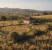JAMAICA'S Food Security Crisis: When Demographic Winter Meets Farm-Workers Drought 