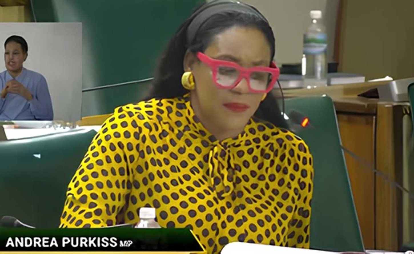 Member of Parliament for Eastern Hanover and  Opposition spokesperson for Tourism and Linkages, Andrea Purkiss