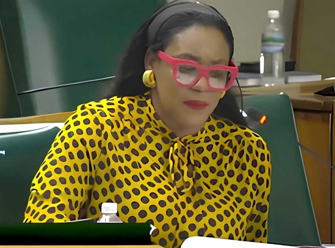 Member of Parliament for Eastern Hanover and  Opposition spokesperson for Tourism and Linkages, Andrea Purkiss